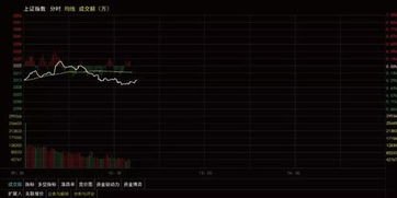 初入股市需要了解的基礎(chǔ)知識(shí)