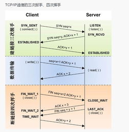 學(xué)計(jì)算機(jī)的基礎(chǔ)知識(shí),計(jì)算機(jī)基礎(chǔ)知識(shí)題庫(kù),計(jì)算機(jī)基礎(chǔ)知識(shí)大全
