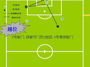 足球教學(xué)基礎(chǔ)知識