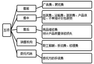 會(huì)計(jì)相關(guān)的基礎(chǔ)知識(shí)