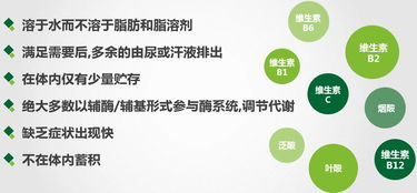 安利營(yíng)養(yǎng)素基礎(chǔ)知識(shí)