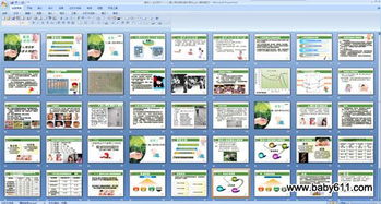 幼兒的心理理論基礎(chǔ)知識