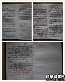 小學(xué)體育基礎(chǔ)知識(shí)教學(xué)反思