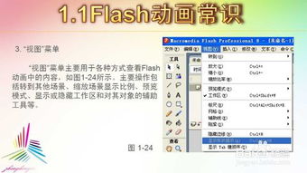 flash基礎(chǔ)考試知識(shí)