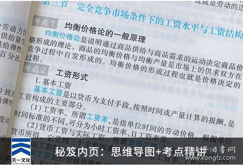 人力資源考試四級基礎(chǔ)知識