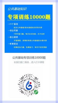 基礎(chǔ)知識,專項(xiàng),訓(xùn)練
