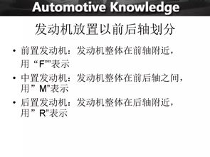 基礎(chǔ)知識,答案,考試,汽車