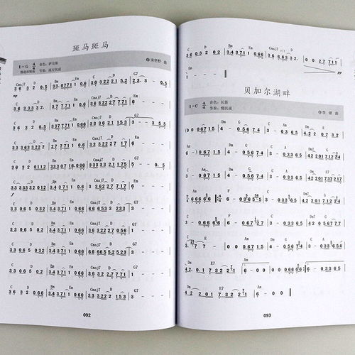 電子琴,基礎(chǔ)知識,知識