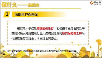 平安保險基礎(chǔ)知識內(nèi)容