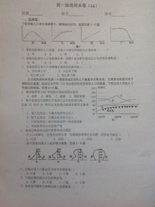 高一基礎知識選擇題