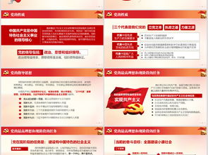 黨內(nèi)基礎(chǔ)知識黨課ppt