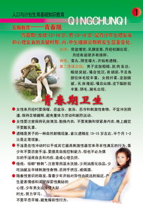 人口與計(jì)劃生育基礎(chǔ)知識(shí)教案