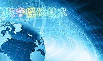 數(shù)字媒體應(yīng)用基礎(chǔ)知識