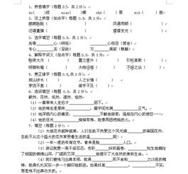 基礎(chǔ)知識(shí)小卷語(yǔ)文試題