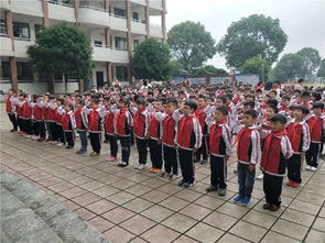 少先隊(duì)基礎(chǔ)知識(shí)測試題,少先隊(duì)基礎(chǔ)知識(shí)問答,少先隊(duì)基礎(chǔ)知識(shí)100題