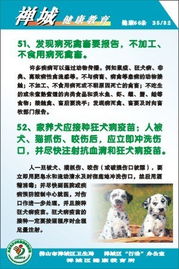 中醫(yī)藥,健康教育,基礎(chǔ)知識(shí)