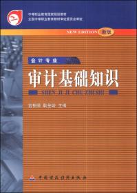 審計基礎(chǔ)知識第二版教案
