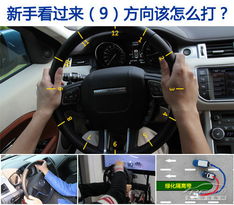 開車駕駛基礎(chǔ)知識