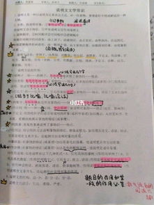 中考說明文的基礎(chǔ)知識