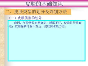 新生活皮膚基礎(chǔ)知識