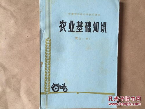 基礎(chǔ)知識,模擬試卷,農(nóng)村,農(nóng)業(yè)