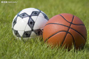小學(xué)足球和籃球基礎(chǔ)知識