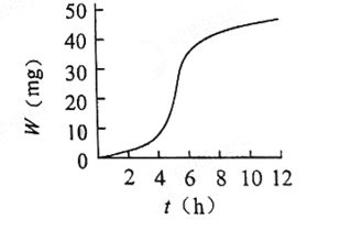 大腸,專業(yè)知識,基礎