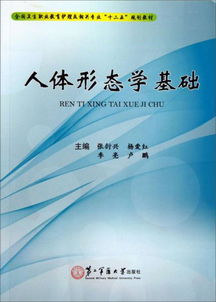 人體形態(tài)學(xué)基礎(chǔ)知識