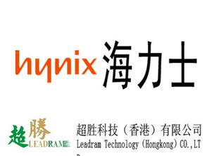 海力士基礎(chǔ)知識