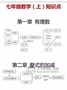 數(shù)學(xué)基礎(chǔ)知識(shí)的分類