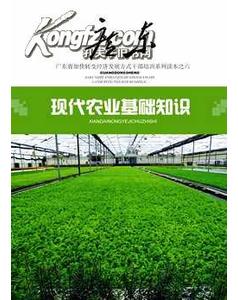 農(nóng)業(yè)農(nóng)村基礎(chǔ)知識(shí)pdf