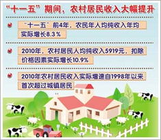 鄉(xiāng)鎮(zhèn)夯實(shí)農(nóng)業(yè)發(fā)展基礎(chǔ)知識