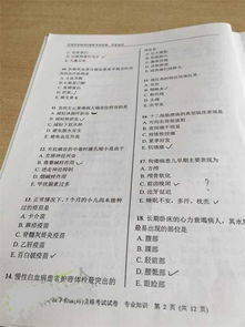 基礎(chǔ)知識(shí),試題,影像,專業(yè)