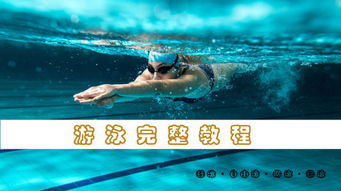 游泳的基礎(chǔ)知識