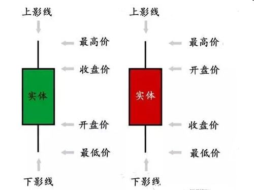 基礎(chǔ)知識,外匯