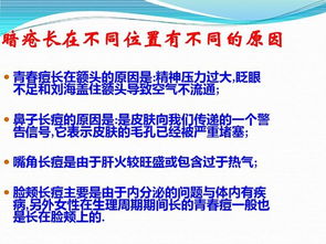 皮膚基礎(chǔ)知識學(xué)