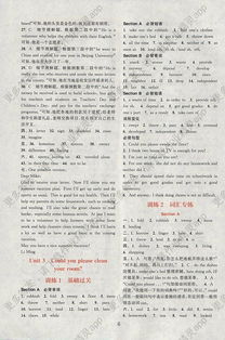 組合,英語,基礎(chǔ)知識(shí),八級(jí)