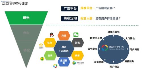 認(rèn)知,基礎(chǔ)知識,目標(biāo),籃球