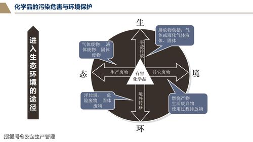 安全事故基礎(chǔ)知識