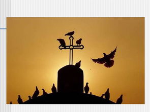 初學(xué)攝像基礎(chǔ)知識(shí)