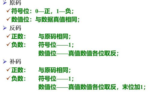 基礎(chǔ)知識(shí),會(huì)展