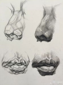 泥塑五官基礎(chǔ)知識(shí)和技巧