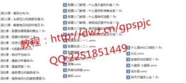 股票入門基礎(chǔ)知識(shí)教程優(yōu)酷