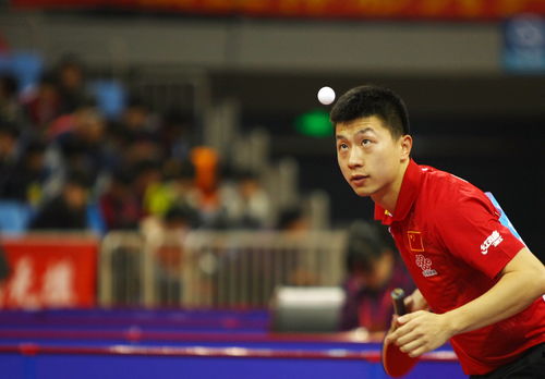 乒乓球賽事基礎(chǔ)知識