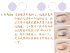 理論知識,化妝,基礎