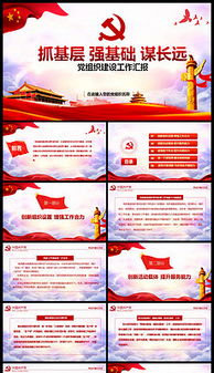 黨支部黨基礎(chǔ)知識(shí)情況總結(jié)