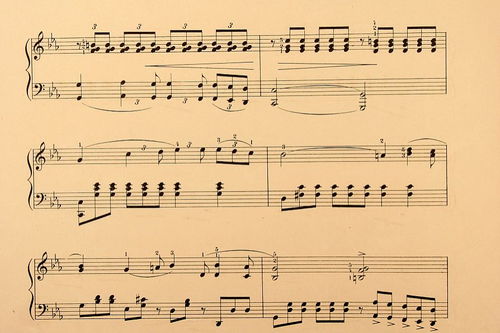 音樂簡譜基礎(chǔ)知識-口琴