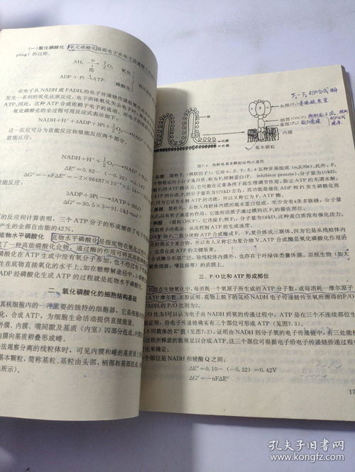 學(xué)好生物必須有化學(xué)基礎(chǔ)知識(shí)