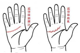 手相基礎(chǔ)知識(shí)課程