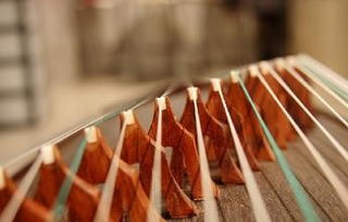 古箏入門基礎(chǔ)知識托